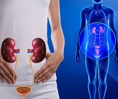 Urology Consultation